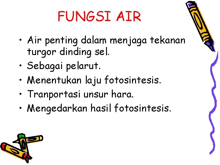 FUNGSI AIR • Air penting dalam menjaga tekanan turgor dinding sel. • Sebagai pelarut.