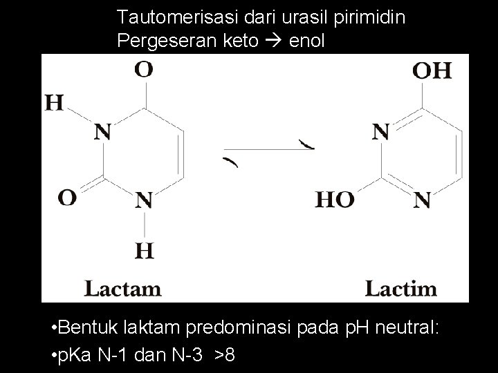 Tautomerisasi dari urasil pirimidin Pergeseran keto enol • Bentuk laktam predominasi pada p. H