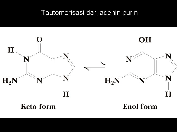 Tautomerisasi dari adenin purin 