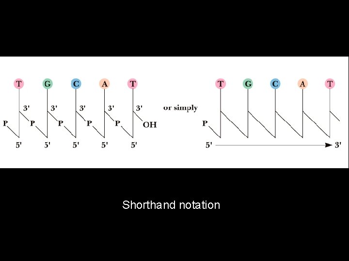 Shorthand notation 