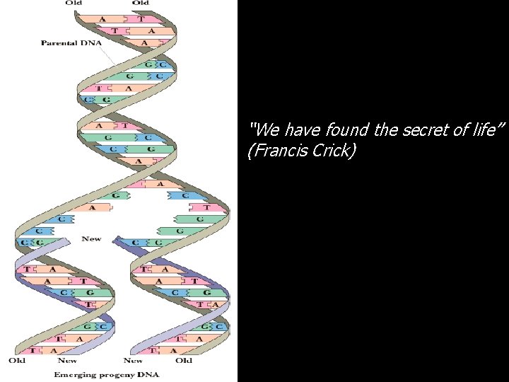 “We have found the secret of life” (Francis Crick) 