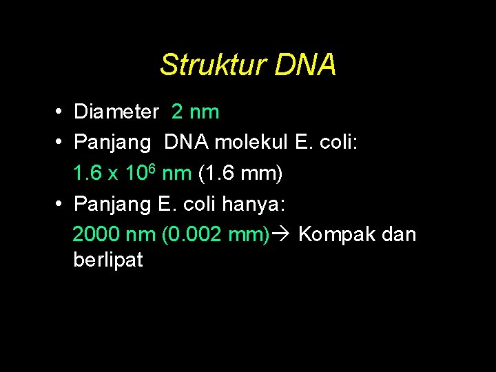 Struktur DNA • Diameter 2 nm • Panjang DNA molekul E. coli: 1. 6