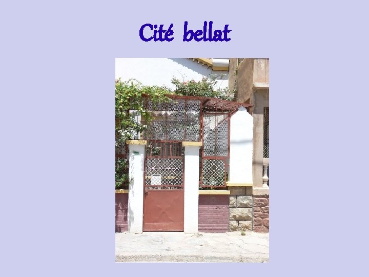 Cité bellat 