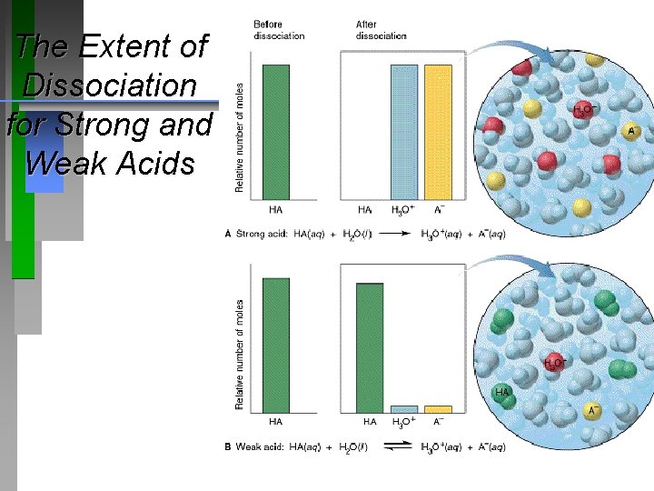 The Extent of Dissociation for Strong and Weak Acids 
