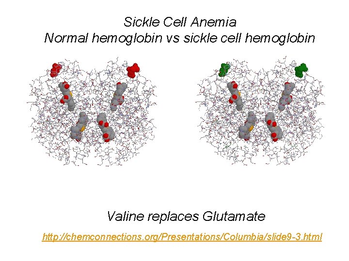 Sickle Cell Anemia Normal hemoglobin vs sickle cell hemoglobin Valine replaces Glutamate http: //chemconnections.