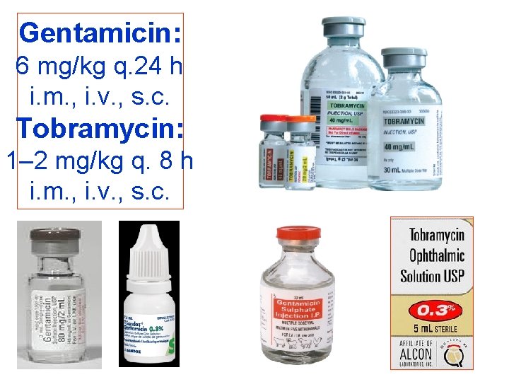 Gentamicin: 6 mg/kg q. 24 h i. m. , i. v. , s. c.