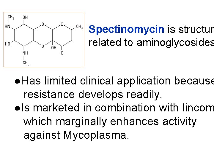 Spectinomycin is structur related to aminoglycosides ●Has limited clinical application because resistance develops readily.
