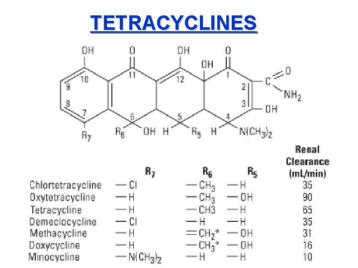 TETRACYCLINES 