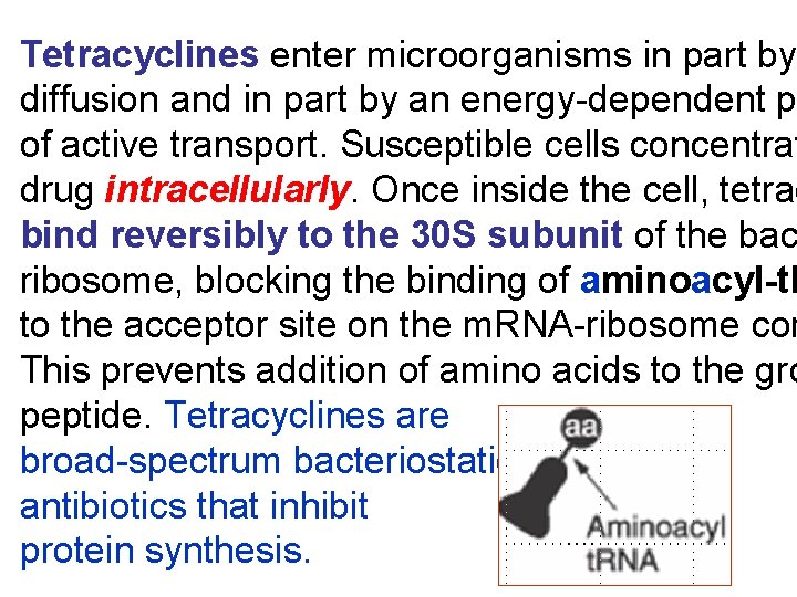 Tetracyclines enter microorganisms in part by diffusion and in part by an energy-dependent p