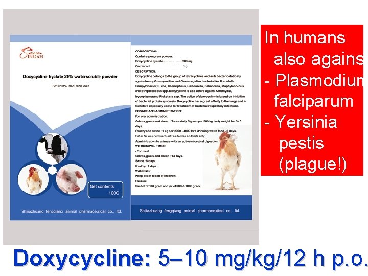 In humans also against - Plasmodium falciparum - Yersinia pestis (plague!) Doxycycline: 5– 10