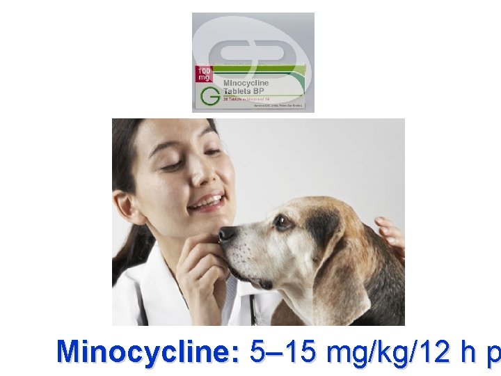 Minocycline: 5– 15 mg/kg/12 h p 