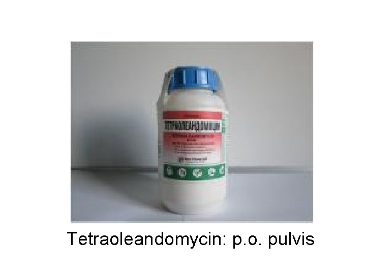 Tetraoleandomycin: p. o. pulvis 