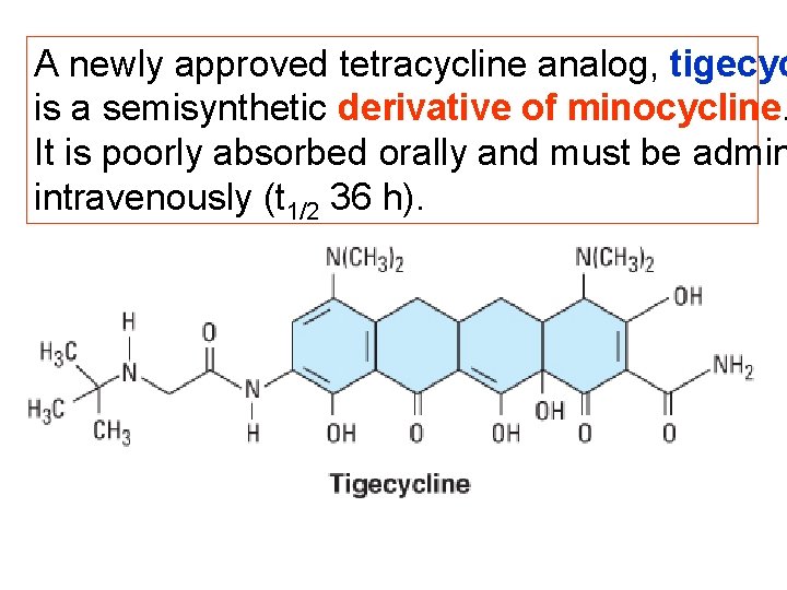 A newly approved tetracycline analog, tigecyc is a semisynthetic derivative of minocycline. It is