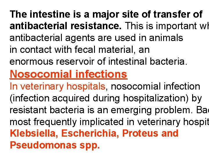 The intestine is a major site of transfer of antibacterial resistance. This is important