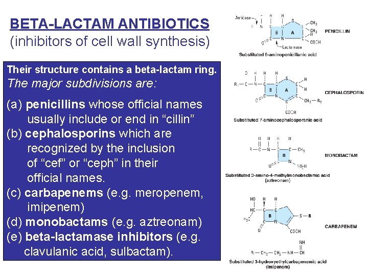 BETA-LACTAM ANTIBIOTICS (inhibitors of cell wall synthesis) Their structure contains a beta-lactam ring. The
