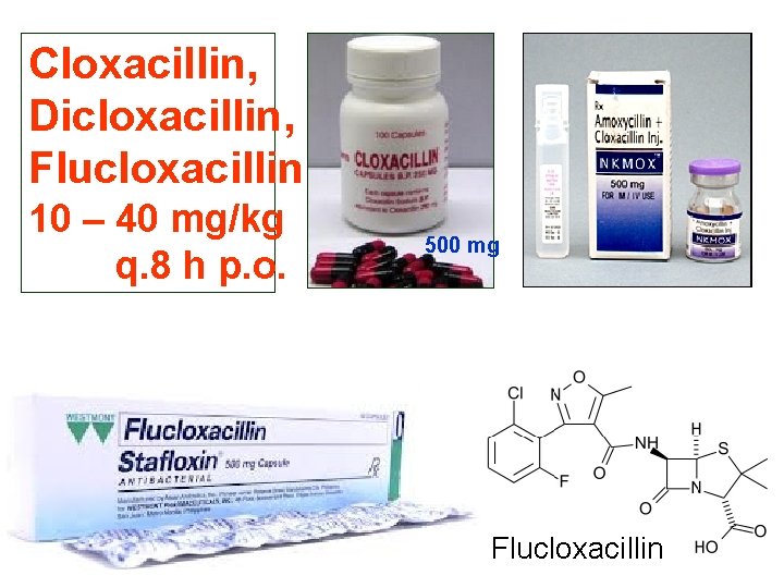 Cloxacillin, Dicloxacillin, Flucloxacillin: 10 – 40 mg/kg q. 8 h p. o. 500 mg