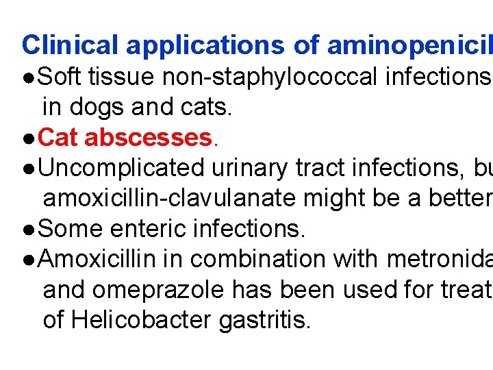 Clinical applications of aminopenicil ●Soft tissue non-staphylococcal infections in dogs and cats. ●Cat abscesses.