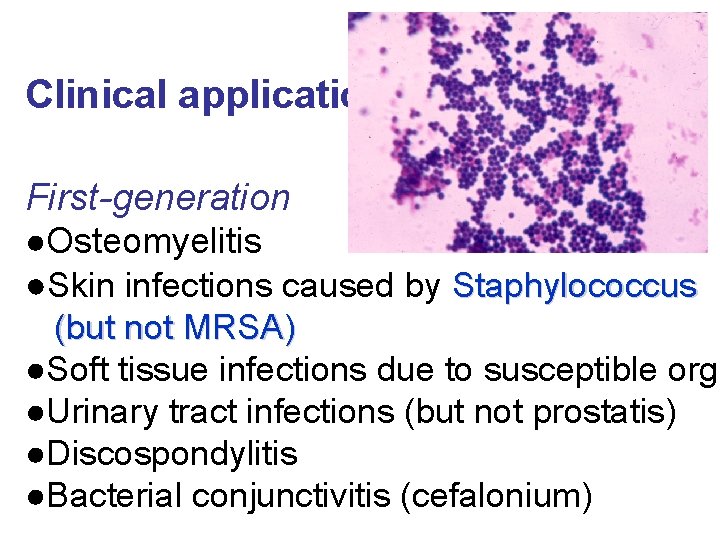 Clinical applications First-generation ●Osteomyelitis ●Skin infections caused by Staphylococcus (but not MRSA) ●Soft tissue