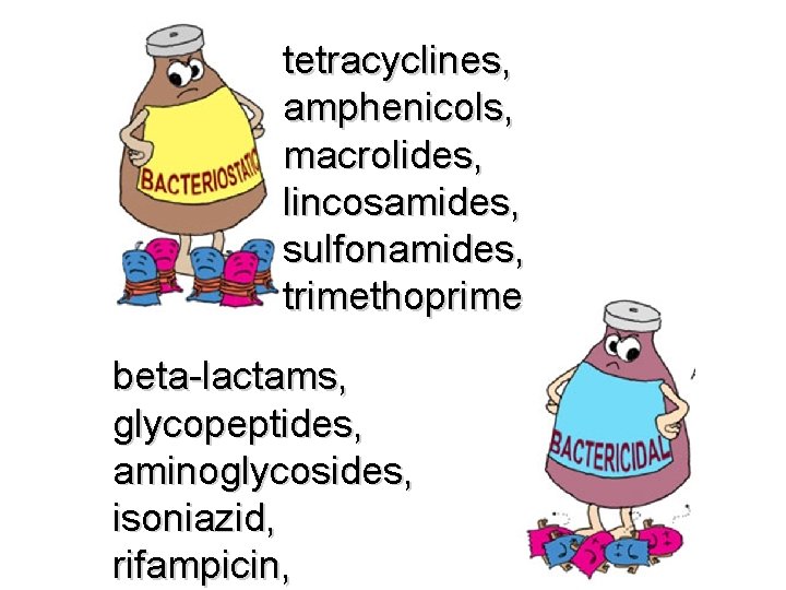 tetracyclines, amphenicols, macrolides, lincosamides, sulfonamides, trimethoprime beta-lactams, glycopeptides, aminoglycosides, isoniazid, rifampicin, 