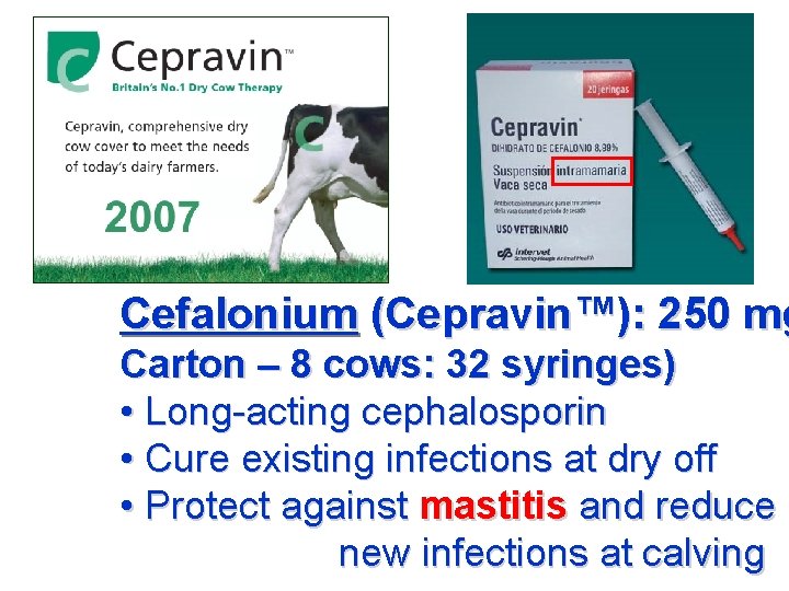 Cefalonium (Cepravin™): 250 mg Carton – 8 cows: 32 syringes) • Long-acting cephalosporin •