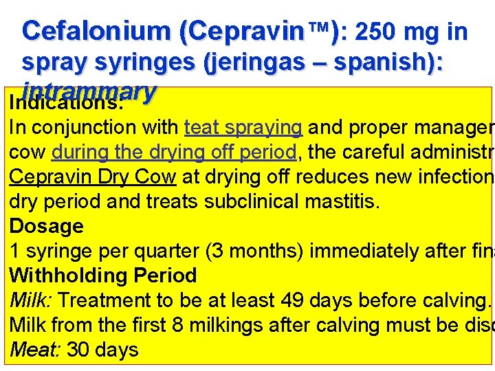 Cefalonium (Cepravin™): 250 mg in spray syringes (jeringas – spanish): intrammary Indications: In conjunction