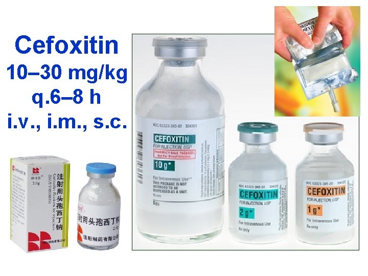 Cefoxitin 10– 30 mg/kg q. 6– 8 h i. v. , i. m. ,
