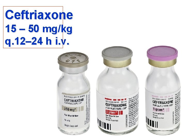 Ceftriaxone 15 – 50 mg/kg q. 12– 24 h i. v. 