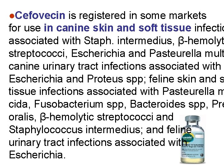 ●Cefovecin is registered in some markets for use in canine skin and soft tissue