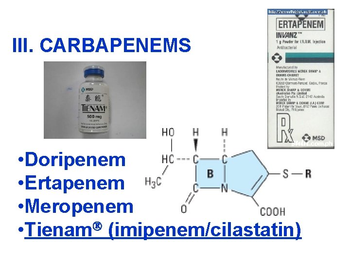 III. CARBAPENEMS • Doripenem • Ertapenem • Meropenem • Tienam (imipenem/cilastatin) 