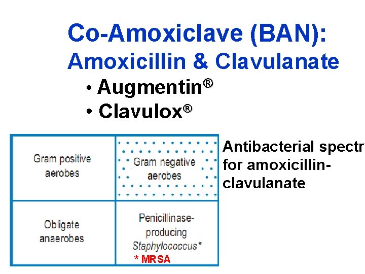 Co-Amoxiclave (BAN): Amoxicillin & Clavulanate • Augmentin® • Clavulox® Antibacterial spectru for amoxicillinclavulanate *