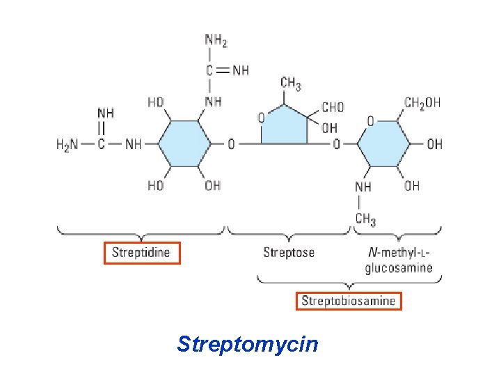 Streptomycin 