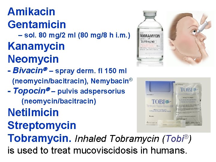 Amikacin Gentamicin – sol. 80 mg/2 ml (80 mg/8 h i. m. ) Kanamycin