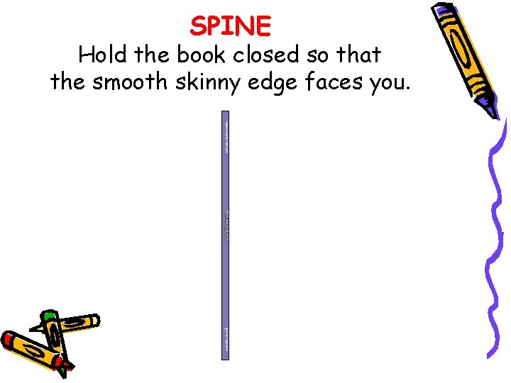 SPINE Hold the book closed so that the smooth skinny edge faces you. 