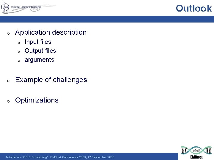 Outlook Application description Input files Output files arguments Example of challenges Optimizations Tutorial on