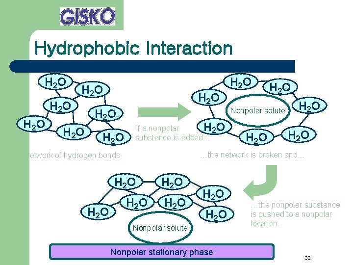 Hydrophobic Interaction H 2 O H 2 O H 2 O Nonpolar solute If
