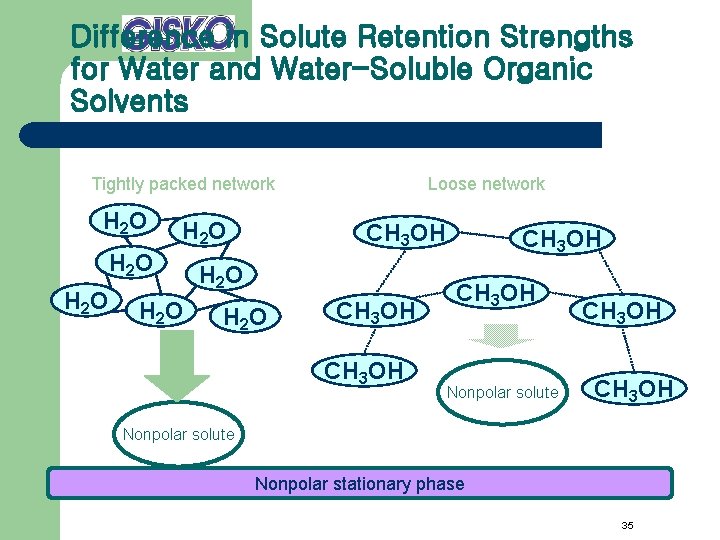 Difference in Solute Retention Strengths for Water and Water-Soluble Organic Solvents Tightly packed network