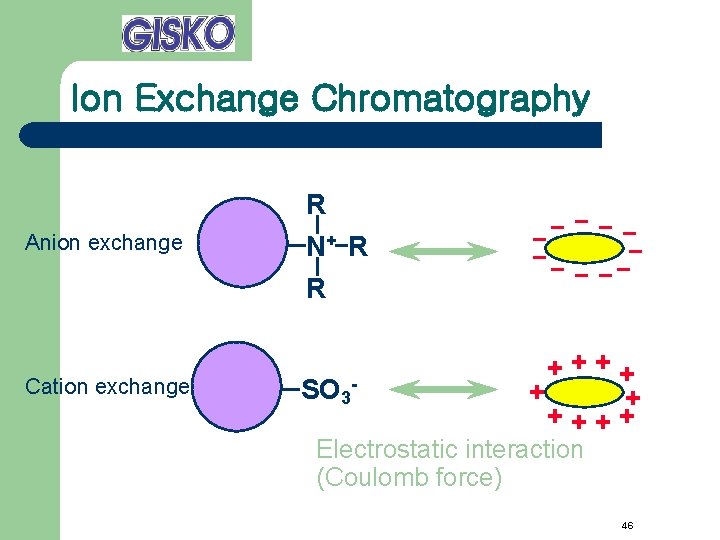 Ion Exchange Chromatography Anion exchange Cation exchange R N+ R R SO 3 -