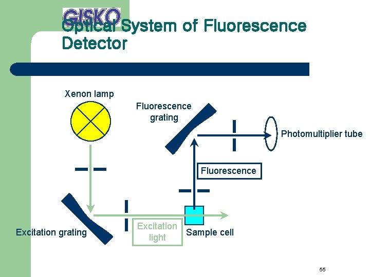 Optical System of Fluorescence Detector Xenon lamp Fluorescence grating Photomultiplier tube Fluorescence Excitation grating