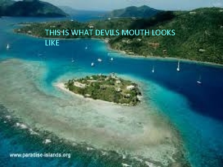 THIS IS WHAT DEVILS MOUTH LOOKS LIKE 