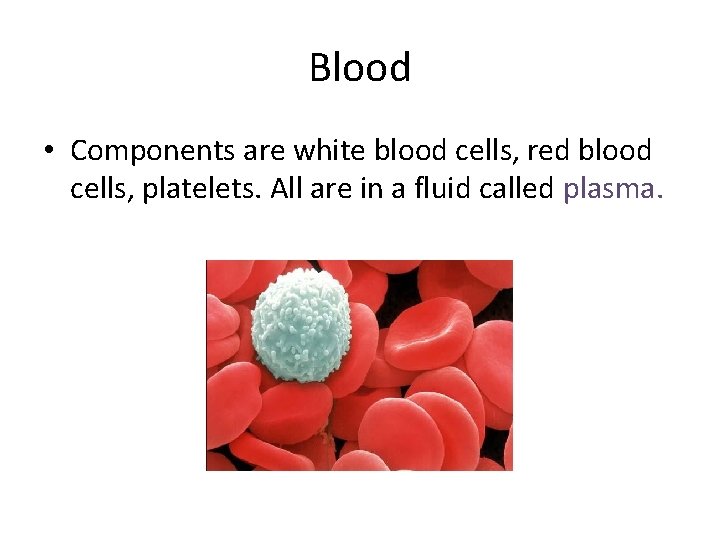 Blood • Components are white blood cells, red blood cells, platelets. All are in