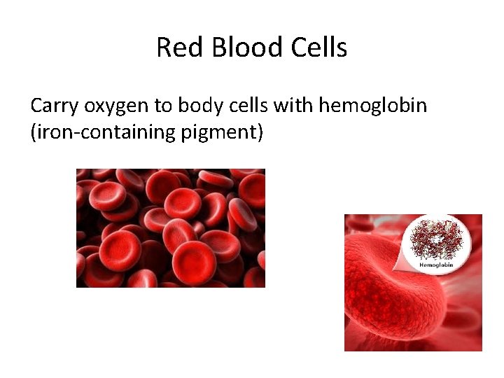 Red Blood Cells Carry oxygen to body cells with hemoglobin (iron-containing pigment) 