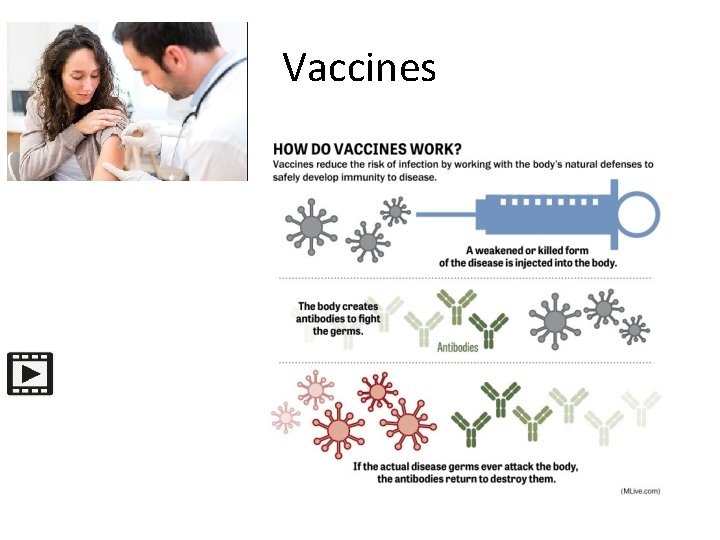 Vaccines 