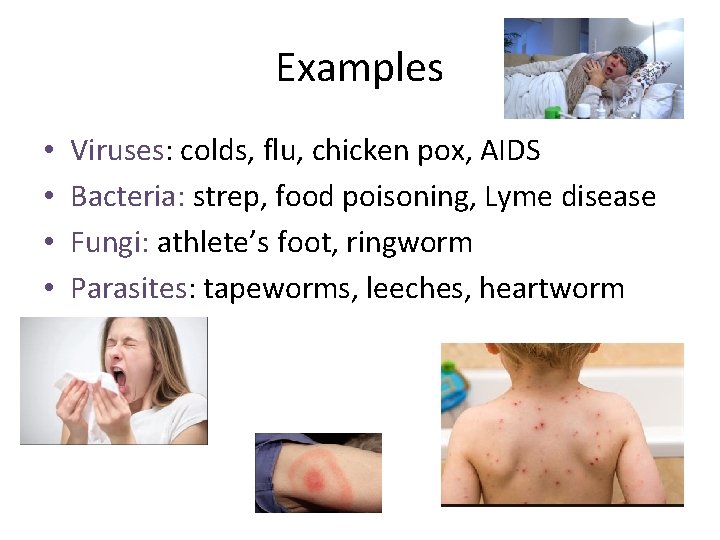 Examples • • Viruses: colds, flu, chicken pox, AIDS Bacteria: strep, food poisoning, Lyme