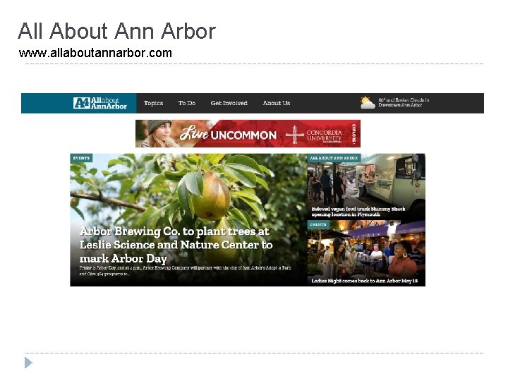 All About Ann Arbor www. allaboutannarbor. com 