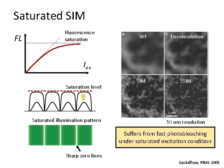 Saturated SIM FL Fluorescence saturation WF Deconvolution Iex Saturation level Saturated illumination pattern SIM