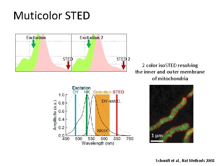 Muticolor STED Excitation 2 STED 2 2 color iso. STED resolving the inner and