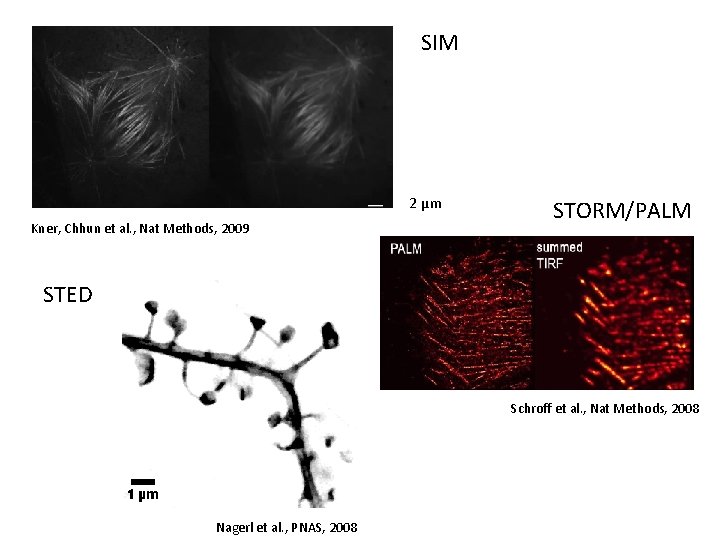 SIM 2 µm Kner, Chhun et al. , Nat Methods, 2009 STORM/PALM STED Schroff