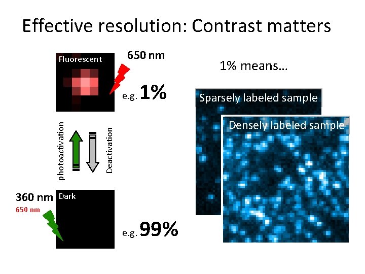 Effective resolution: Contrast matters 650 nm Fluorescent 360 nm 1% Sparsely labeled sample Densely