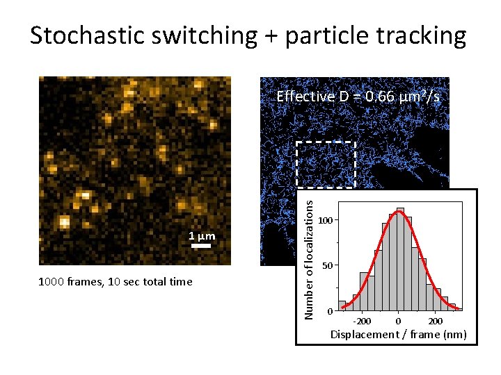 Stochastic switching + particle tracking 1 μm 1000 frames, 10 sec total time Effective