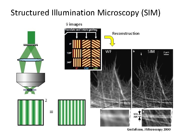Structured Illumination Microscopy (SIM) 9 images Reconstruction WF SIM 2 = Gustafsson, J Microscopy